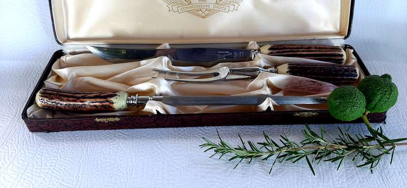 VINTAGE GLO HILL BONE HANDLE CARVING SET