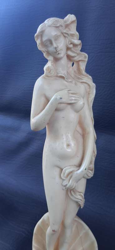 DIVINE BEAUTY PRESERVED  IVORINE VENUS STATUE (24.5 CM)