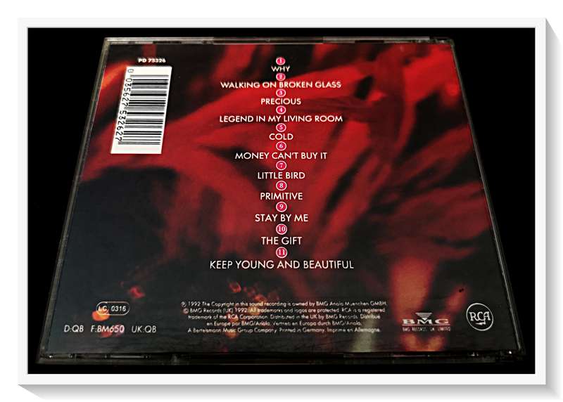 Annie Lennox - DIVA - CD - Disc and Casing with Booklet in Excellent Condition *****