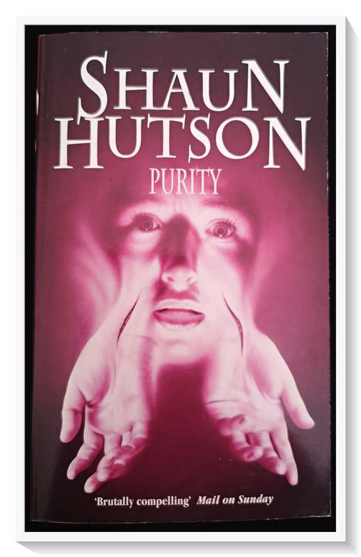 SHAUN HUTSON: PURITY - Times Warner Press - Standard Format Paperback - In A+ Condition***