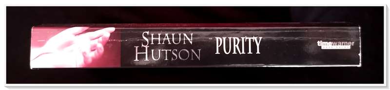 SHAUN HUTSON: PURITY - Times Warner Press - Standard Format Paperback - In A+ Condition***