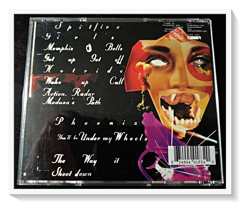 The Prodigy - 2004 - Always Outnumbered, Never Outgunned - Casing and Disc in Excellent Condition