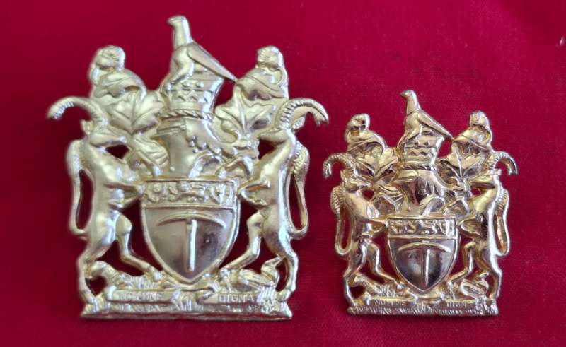RHODESIAN ARMY - WO1 + RSM GOLD ANODISED WRIST BADGES - ALL CORPS.        (8770)