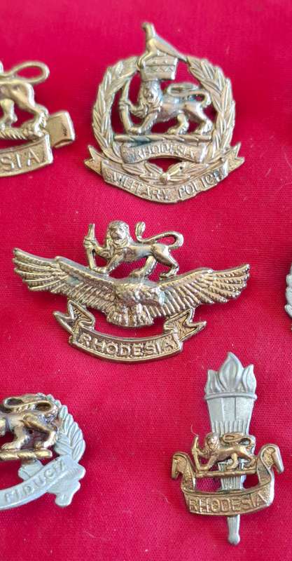 RHODESIAN ARMED FORCES - 12 X PERIOD CAST BADGES USED FOR COMMEMORATIVE DISPLAYS   (8780)