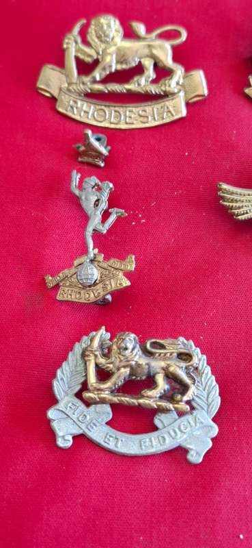RHODESIAN ARMED FORCES - 12 X PERIOD CAST BADGES USED FOR COMMEMORATIVE DISPLAYS   (8780)