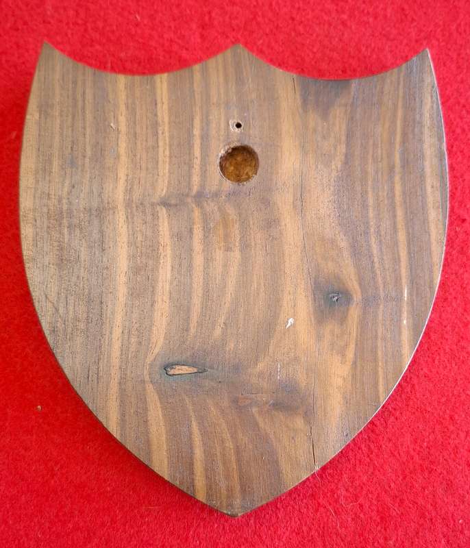 RHODESIAN ARMY - OPERATION HURRICANE PLAQUE   -                        (8803)
