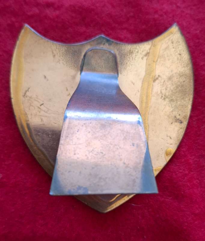 RHODESIAN ARMY - MINI STANDING PLAQUE - 3 PROTECTION COY. MT. DARWIN 1975/76 - HEIGHT 82mm   (8802)