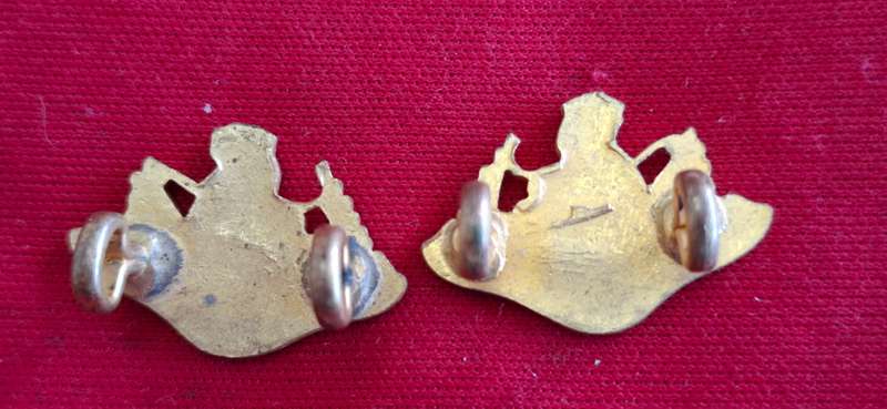 RHODESIA BSAP - FACING PAIR FROSTED GILT MESS DRESS BADGES  - ALSO PRAW WING CENTRE   (8789)