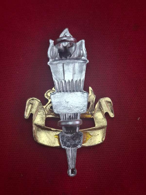 RHODESIAN EDUCATIONAL CORPS. - ANODISED CAP BADGE   (105)