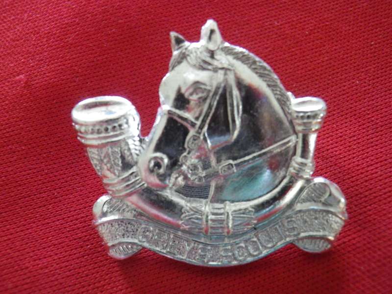 RHODESIA - GREY'S SCOUTS ANODISED BERET BADGE              (8913)