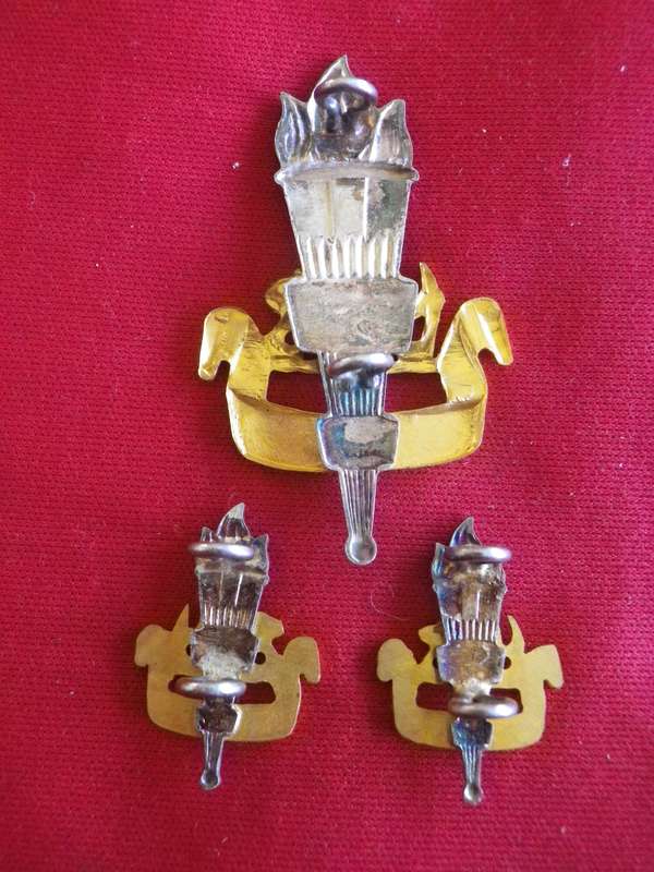 RHODESIAN EDUCATIONAL CORPS.  -  OFFICERS GILT + SILVER CAP + FACING PAIR COLLAR  BADGES (8725)