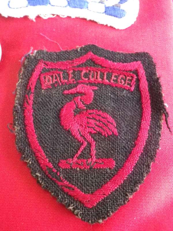 SA - LOT OF SCHOOL BADGES - SEE LIST BELOW               (178)
