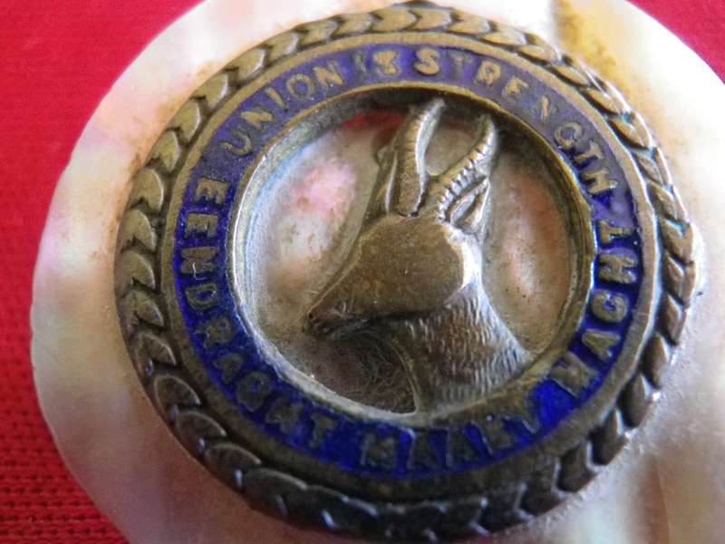 SOUTH AFRICAN UNION FORCES  -WW1 BRASS ON MOTHER OF PEARL  SWEETHEART BROOCH                   (113)