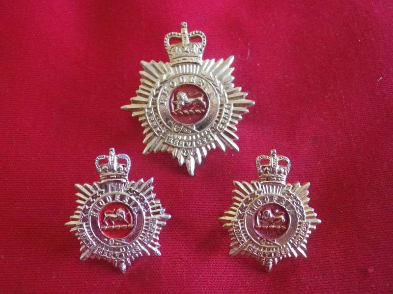 RHODESIAN ARMY SERVICES CORPS. QC ANODISED CAP + FACING PAIR COLLARS  PRE 1970    (8720)