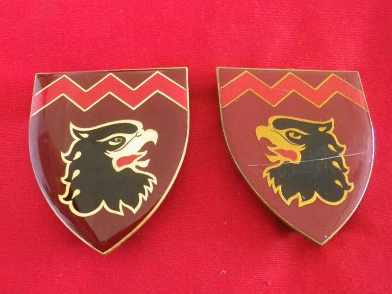 SADF - 44 PARA 18 LIGHT REGT. FACING PAIR FLASHES - 1 PIN MISSING        (8872)