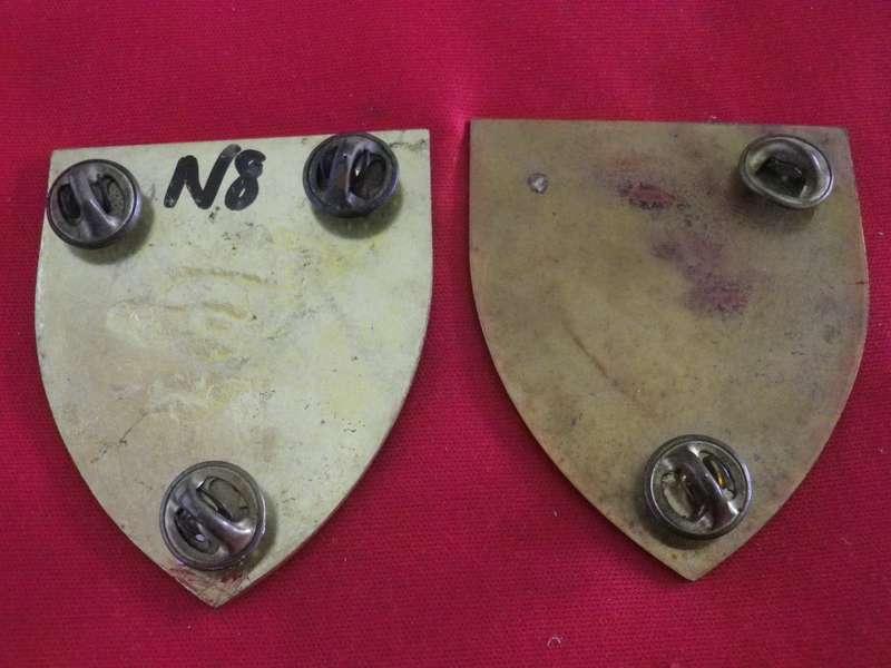 SADF - 44 PARA 18 LIGHT REGT. FACING PAIR FLASHES - 1 PIN MISSING        (8872)