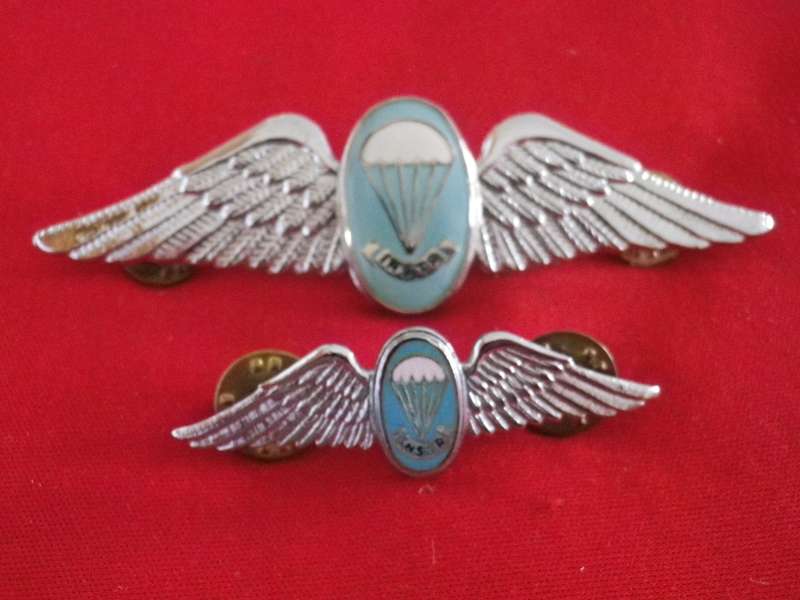 SADF - SA PARA STATIC LINE INSTRUCTOR CHROME + ENAMEL FULL + MESS DRESS WINGS    (8867)