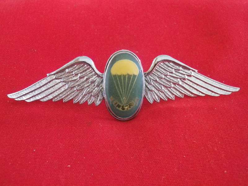 SADF - SA PARA STATIC LINE CHROME + ENAMEL INSTRUCTORS WING - VARIATION    (8864)