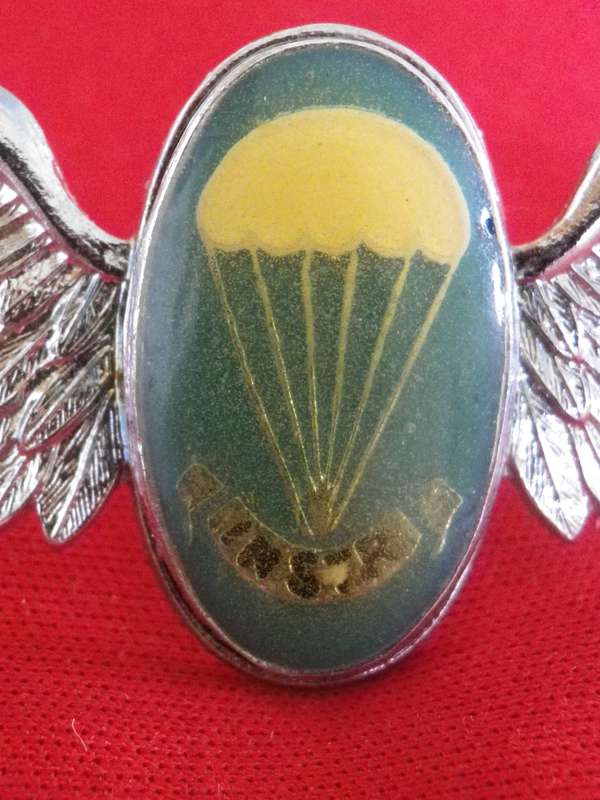 SADF - SA PARA STATIC LINE CHROME + ENAMEL INSTRUCTORS WING - VARIATION    (8864)