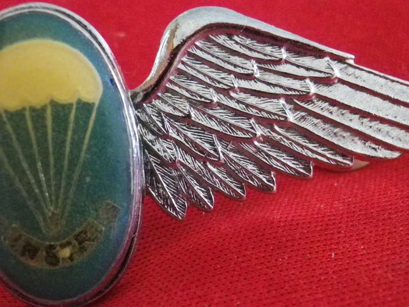 SADF - SA PARA STATIC LINE CHROME + ENAMEL INSTRUCTORS WING - VARIATION    (8864)