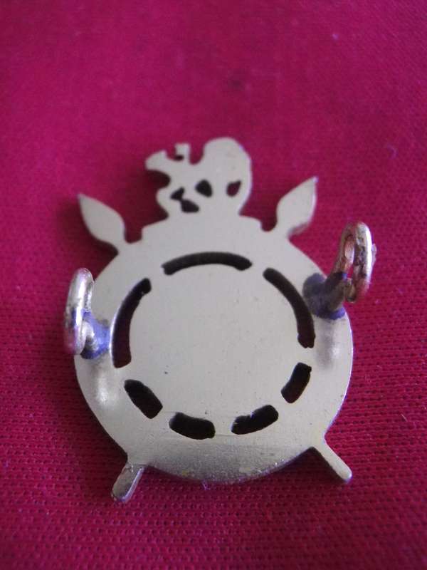 RHODESIAN INTELLIGENCE CORPS. ANODISED BERET BADGE   (8814)
