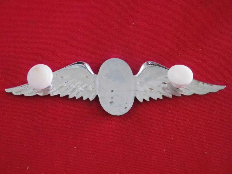 SADF - SA PARA STATIC LINE CHROME + ENAMEL INSTRUCTORS WING - VARIATION    (8864)