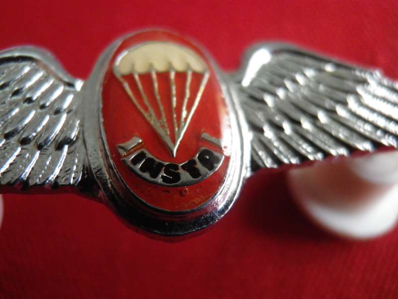 SADF - SA PARA FREEFALL INSTRUCTORS MESS DRESS WING - DINNES 319           (8644)