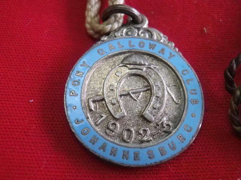 TURF CLUB BADGES - 1902/03 JOHANNESBURG  PONY GALLOWAY CLUB BADGE No. 457 +ORIGINAL CORD  (18)