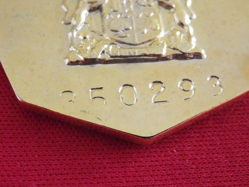SADF - PRO PATRIA FULL SIZE + MINIATURE MEDAL - NUMBERED + CUNENE CLASP  -  UNRESEARCHED  (8894)