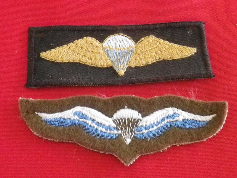 SADF - 2 EMBROIDERED PARA WINGS             (8887)