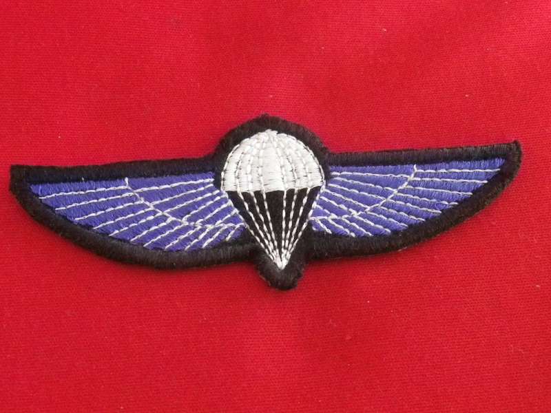 SADF - HUNTER GROUP PARA WING   - AUTHENTICITY UNKNOWN / COPY ?   (8886)