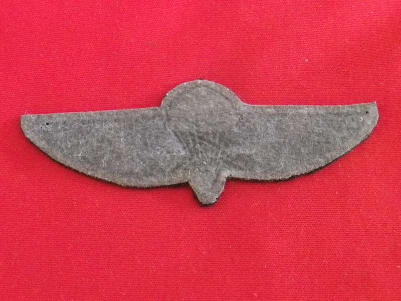 SADF - HUNTER GROUP PARA WING   - AUTHENTICITY UNKNOWN / COPY ?   (8886)