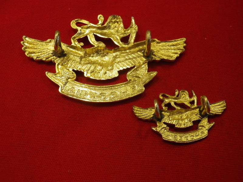 RHODESIAN AIR FORCE - AIRMAN'S & AIRWOMAN'S ANODISED CAP BADGES         (8984)