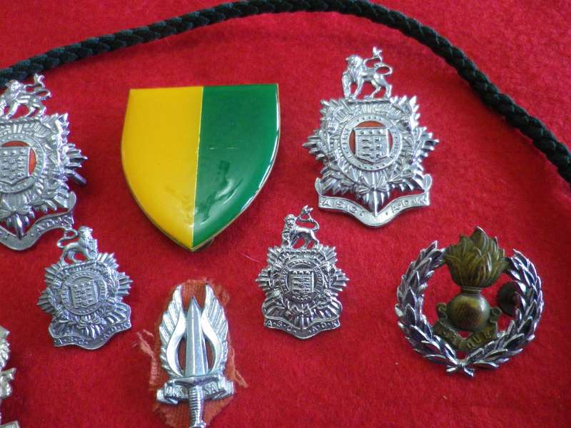 SADF - MIXED LOT BADGES + LANYARD          (167)
