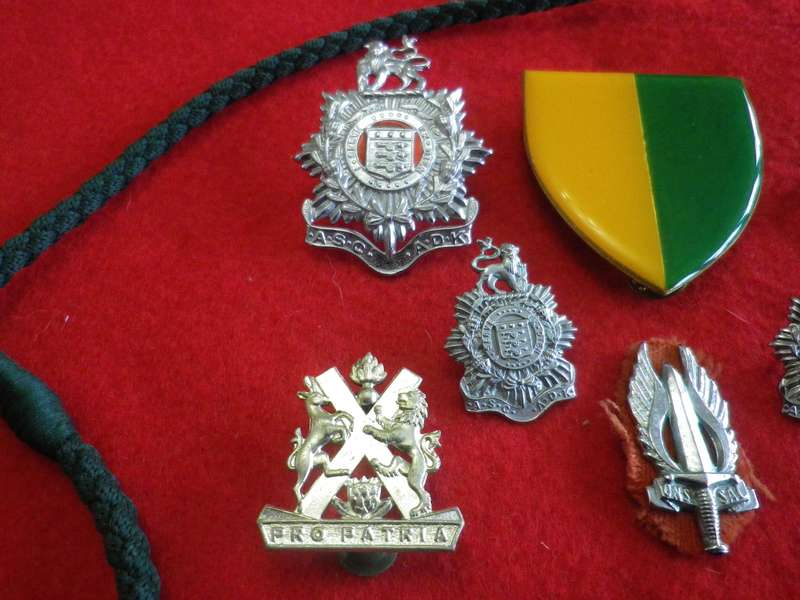 SADF - MIXED LOT BADGES + LANYARD          (167)