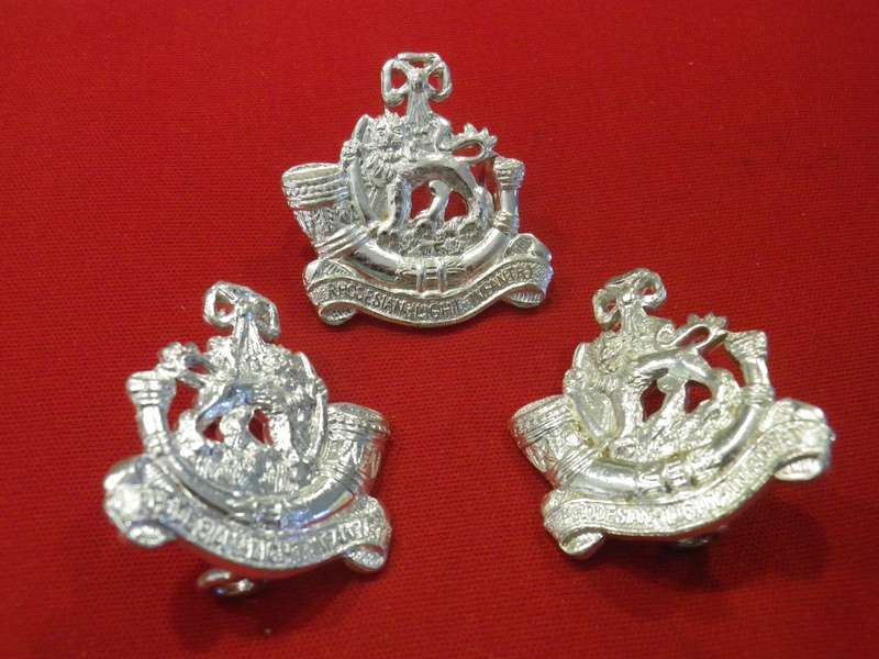 RHODESIAN LIGHT INFANTRY - SET ANODISED CAP + FACING PAIR COLLAR BADGES (116)