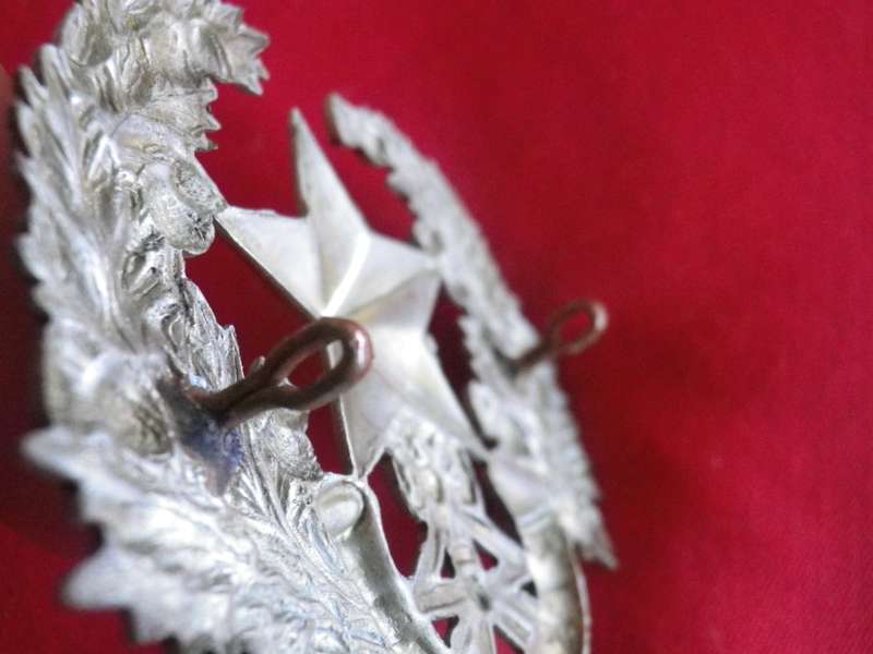 BRITISH ARMY - CAMERONIANS (SCOTTISH RIFLES) WHITE METAL HEADDRESS BADGE   (8999)