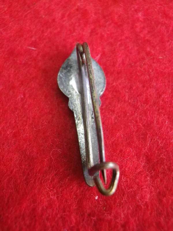SOUTH AFRICA - TORCH COMMANDO LAPEL BADGE FROM 1950's                (163)