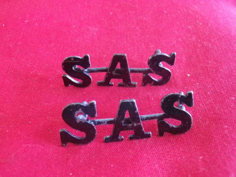 RHODESIAN SAS - PAINTED PAIR OF METAL SHOULDER TITLES     (125)