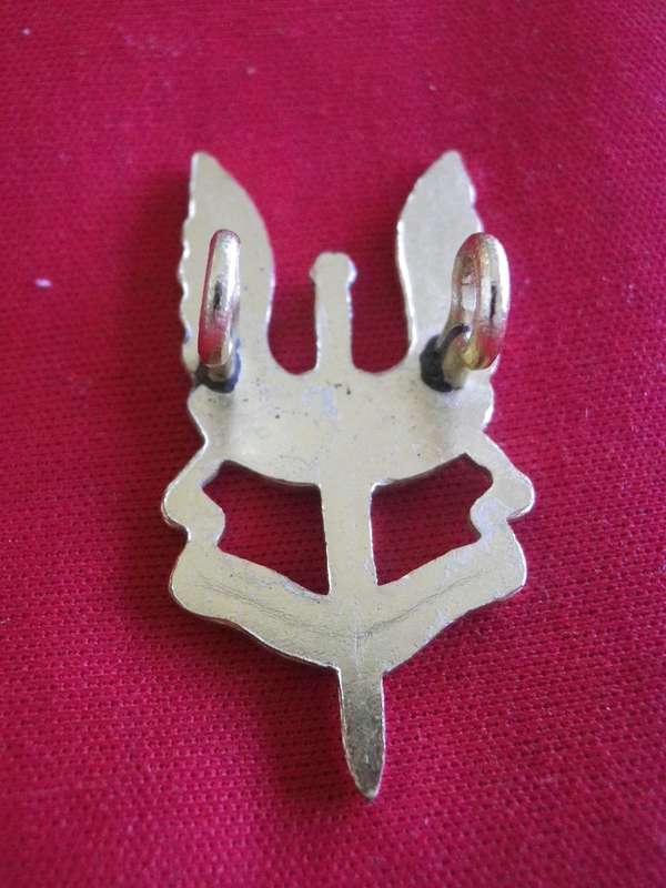 RHODESIAN SAS - ANODISED BERET BADGE    (124)