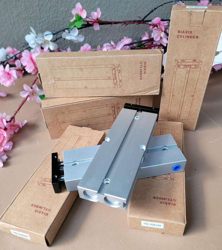I TDPC (TN16x100) Pneumatic Air Cylinder.  (Bid Per Piece)