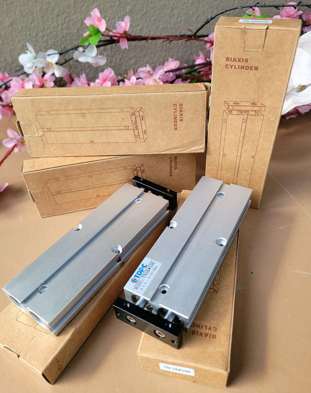 I TDPC (TN16x100) Pneumatic Air Cylinder.  (Bid Per Piece)