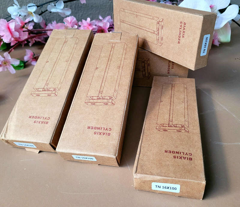 I TDPC (TN16x100) Pneumatic Air Cylinder.  (Bid Per Piece)
