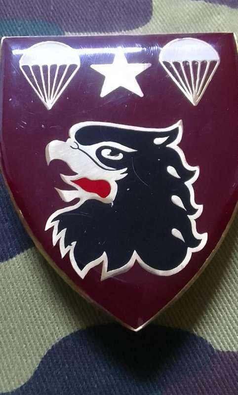 SADF 4 PARACHUTE BATTALION SHOULDER FLASH - BARGAIN BUY