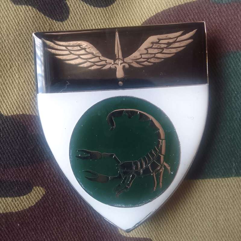 SADF / SA ARMY  2 RECCE COMMANDO SHOULDER FLASH - WITH PINS