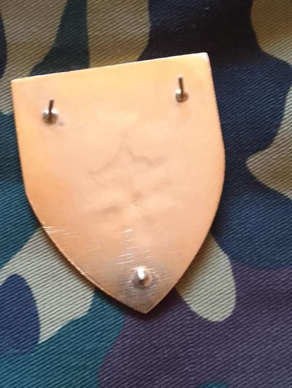 SADF/SA ARMY SPECIAL FORCES  5 RECCE SHOULDER FLASH - WITH PINS