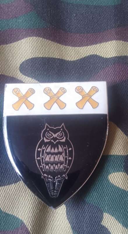SADF/ SA ARMY  MILITARY  CIVIL COOPERATION BUREAU CCB UNIT FLASH