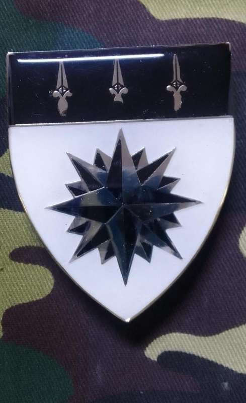 SADF/ SA ARMY 1 RECCE  SHOULDER FLASH  - - WITH PINS