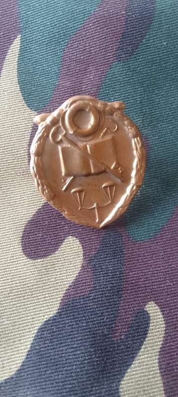 SADF/ SA ARMY  PRISON SERVICES BERET BADGE