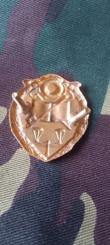 SADF/ SA ARMY  PRISON SERVICES BERET BADGE